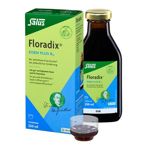 FLORADIX Eisen plus B12 vegan Tonikum