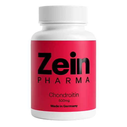 CHONDROITIN 500 mg Kapseln