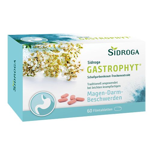 SIDROGA GastroPhyt 250 mg Filmtabletten