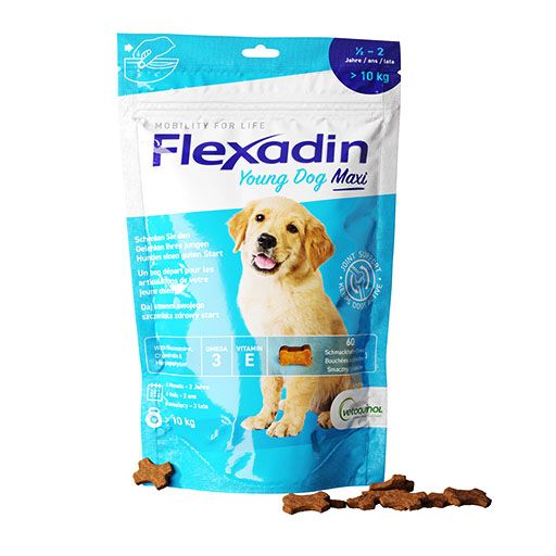 FLEXADIN Young Dog Maxi Chews Erg.-Futterm.f.Hunde